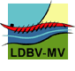 www.drachenboot-mv.de